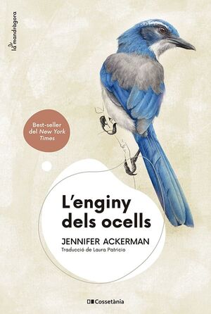 L'ENGINY DELS OCELLS