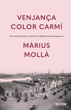 VENJANÇA COLOR CARMÍ