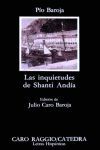 LAS INQUIETUDES DE SHANTI ANDIA