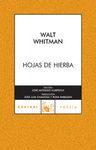 HOJAS DE HIERBA