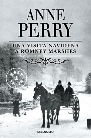 VISITA NAVIDEÑA A ROMNEY MARSHES, UNA