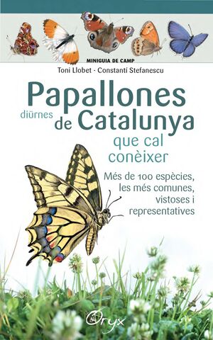 PAPALLONES DIÜRNES DE CATALUNYA