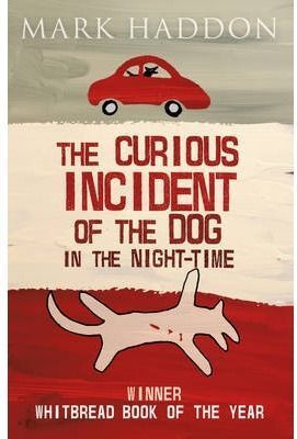 CURIOUS INCIDENT OF THE DOG IN THE NIGHT TIME