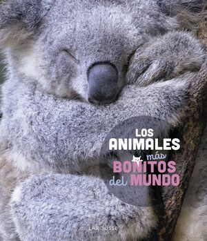 LOS ANIMALES MÁS BONITOS DEL MUNDO