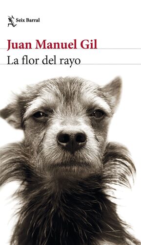 LA FLOR DEL RAYO