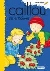 CAILLOU: LAS ESTACIONES.