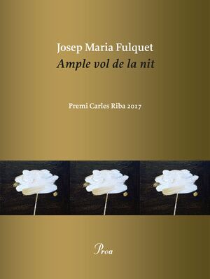 AMPLE VOL DE LA NIT