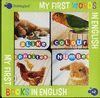 MY FIRST WORDS IN ENGLISH